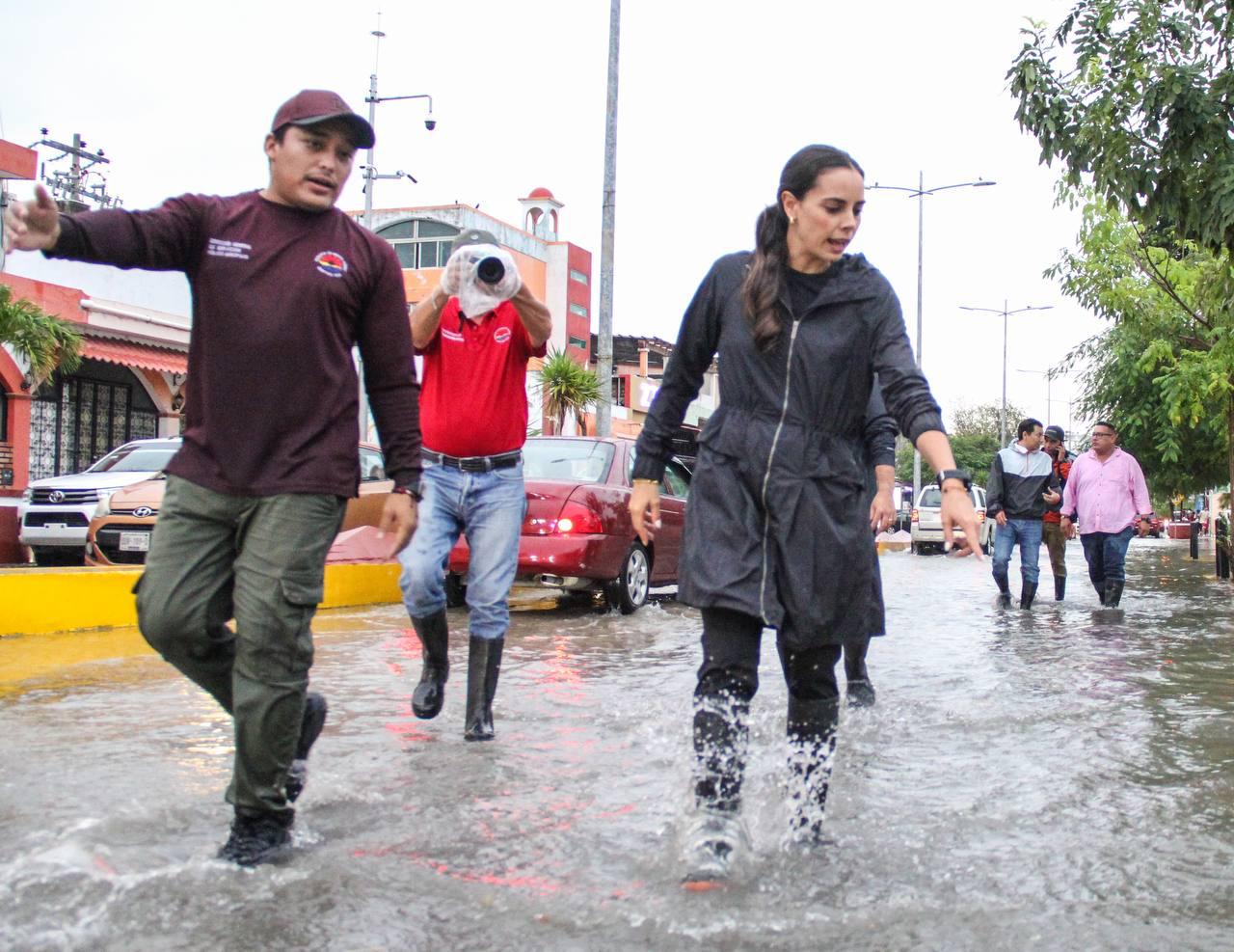 uploads/6/32/01 (51).Jpeg